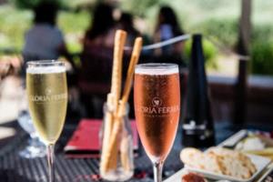 2026世界杯,全球足球的 next 大事2026世界杯