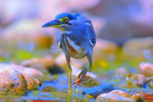 2023年世界杯亚洲区预选赛直播平台推荐及观看指南世界杯亚洲区预选赛直播在哪里看