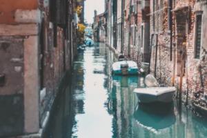 2026世界杯，全球足球的 next 大事2026世界杯